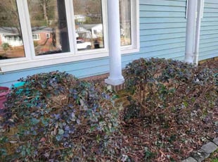 Bush Trimming by Isaiah Cuthbertson for Jessica W. in Concord, NC