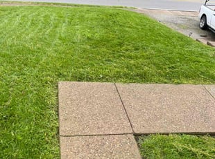 Dan S.'s Lawn Care service result