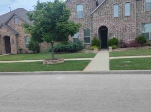 Elba S.'s Lawn Mowing service result
