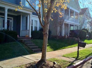 Sara H.'s Lawn Care service result