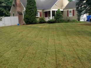 Melanie K.'s Lawn Mowing Service service result