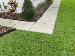 Cleanups by Mila Boza for Elda P. in Apopka, FL