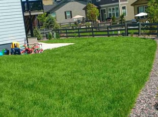 Rita M.'s Lawn Service service result