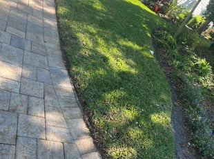Rigel R.'s Grass Cutting service result