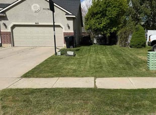 Rick S.'s Lawn Service service result