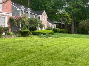 William J.'s Lawn Care service result