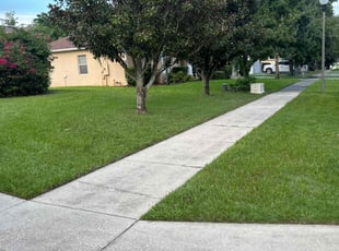 Michelle B.'s Yard Cutting service result