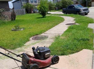 Bush Trimming by Paul Jones for Catherine b. in Houston, TX