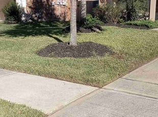Jason F.'s Lawn Maintenance service result