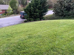 Corey L.'s Yard Cutting service result