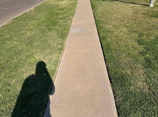 Lauren H.'s Lawn Care service result