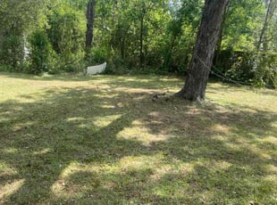 Cleanups by Vanessa Robinson for John P. in Augusta, GA