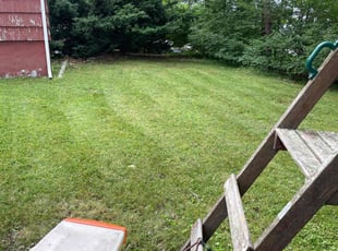 Marissa M.'s Lawn Mowing Service service result