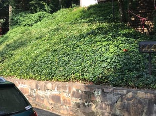 Cleanups by Kamonta Hackey for Abbie S. in Arlington, VA