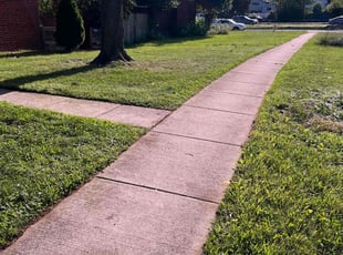 Cathy T.'s Lawn Maintenance service result