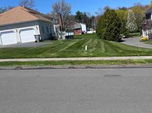 Antoinette R.'s Lawn Mowing service result