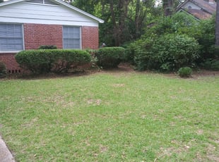 Bush Trimming by Tyrone Cleveland for Melissa M. in Tallahassee, FL