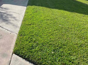 steve t.'s Lawn Care service result