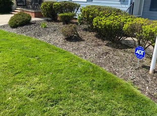 Weeding by Tefel Rivera for Brian L. in Maple Heights, OH