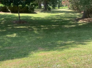 Rupel p.'s Lawn Maintenance service result