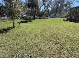 Carisa S.'s Lawn Service service result