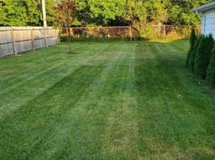 Bush Trimming by Brianna Redding for Casey R. in Hamtramck, MI