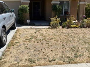 Cleanups by Juan Martinez for Chris T. in Stockton, CA