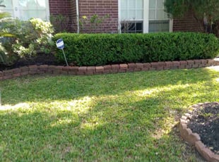 Bush Trimming by Joel Kelly for Connie W. in Houston, TX