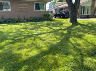 Duncan W.'s Lawn Mowing service result