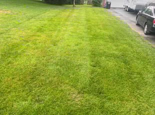 John F.'s Lawn Maintenance service result