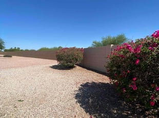 Bush Trimming by Sampson Macias for Shane P. in Goodyear, AZ