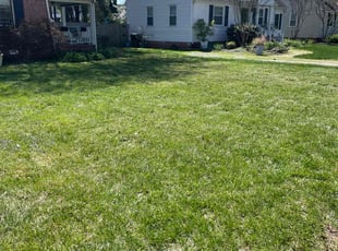 Brenda R.'s Grass Cutting service result