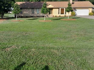 Rita Jean B.'s Lawn Care service result