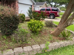 Weeding by Agapito Rivera for Calvin R. in Friendswood, TX