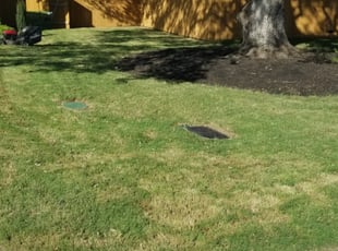 Leaf Removal by Charli Martin for Yang B. in Austin, TX