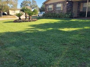 Tiffany R.'s Lawn Mowing service result