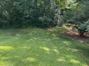 Ryan L.'s Lawn Care service result