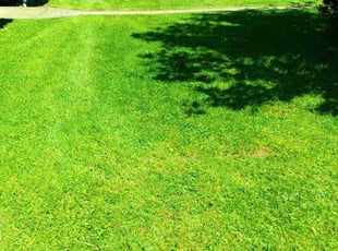 Eric H.'s Lawn Care service result