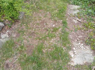 Cleanups by Robert Pittman for Bruce S. in Columbus, OH