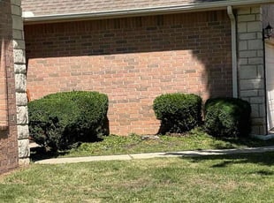 Bush Trimming by Terrance Walker for Clarissa M. in Yukon, OK