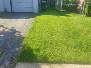 Rhonda K.'s Grass Cutting service result