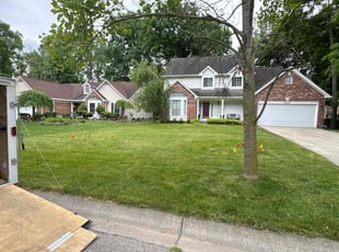Anaykia E.'s Lawn Care service result