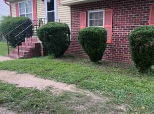Bush Trimming by Joshua West for Josephine C. in Richmond, VA