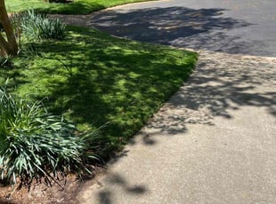 Tabitha G.'s Lawn Service service result