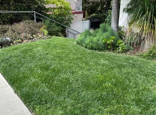 Barbara A.'s Lawn Care service result