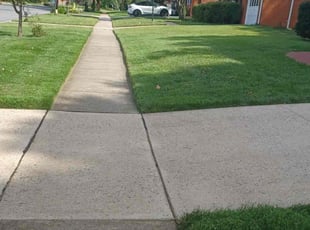 Jenny V.'s Lawn Mowing Service service result