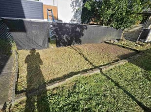 Weeding by Nicholas Cortes for Loretta R. in Seattle, WA