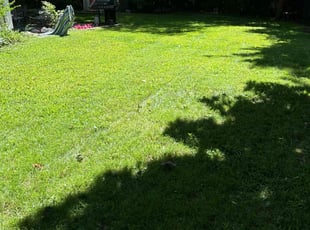 JiM S.'s Lawn Maintenance service result
