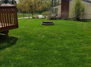 Chris F.'s Lawn Mowing Service service result