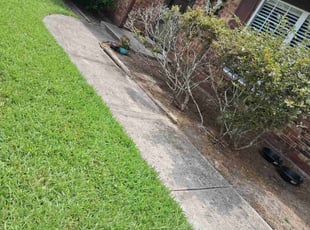 Weeding by Kerline Jean for Katrina F. in Middleburg, FL